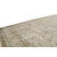 Wool Oriental Area Rug in Beige