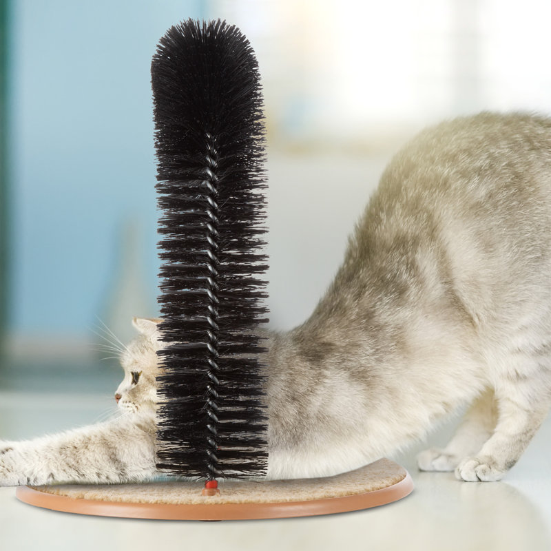 Self Grooming Cat Arch with Bristle Brush and Carpet Base