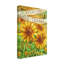 « the tournesol offre thanks », reproduction d’impression sur toile tendue-33556282