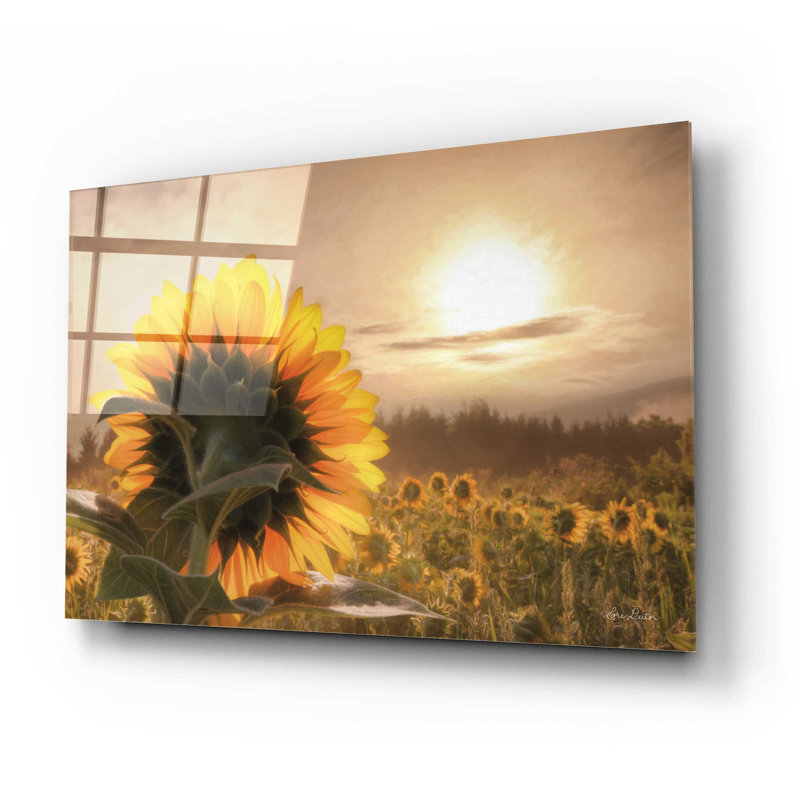 «Sunlit Sunflower» par Lori Deiter, art mural en verre acrylique, H 16 po x l 24 po x P 0,2 po