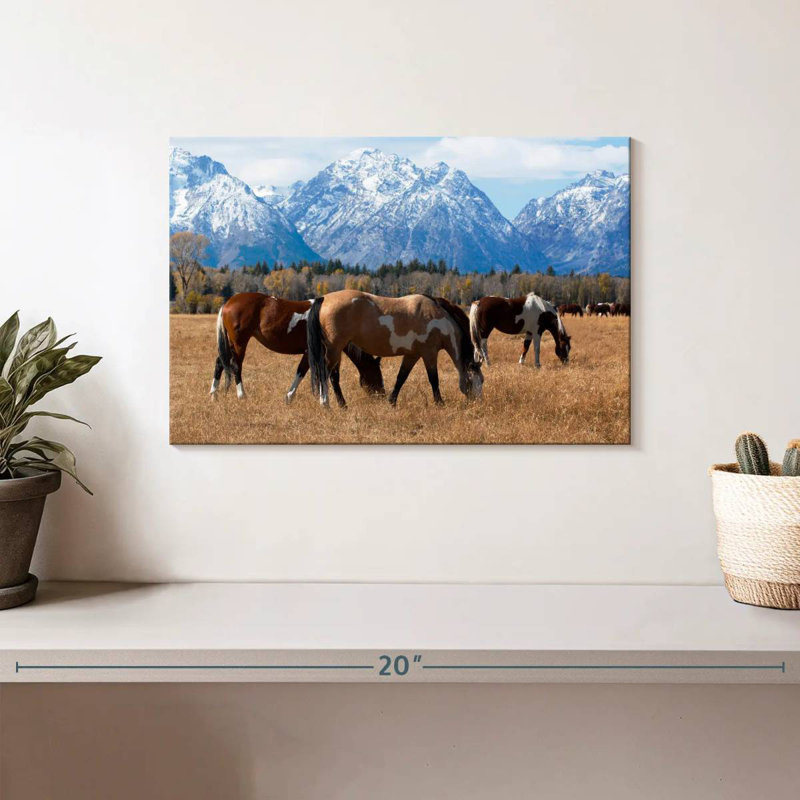 Brampt Grazing Grand Teton Horses
