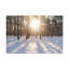 Wall Art on Canvas-1459706120