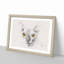 Sphynx Cat with Amber Eyes - Picture Frame Graphic Art Print-56877903-56877907