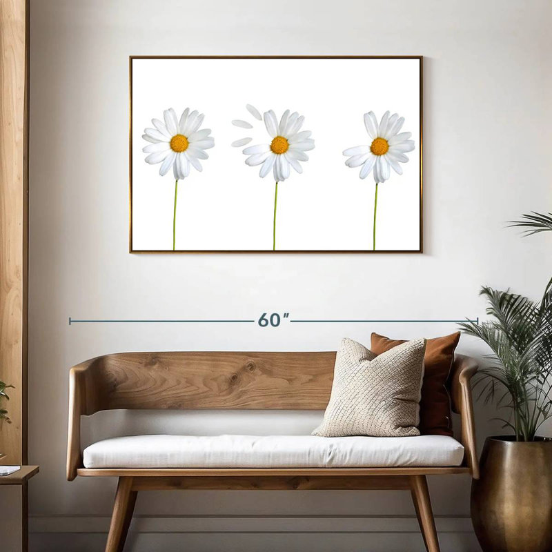 Marguerites plumées, Cadre flottant doré, 43 po x 29 po