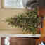 Customer photo 1 of 2