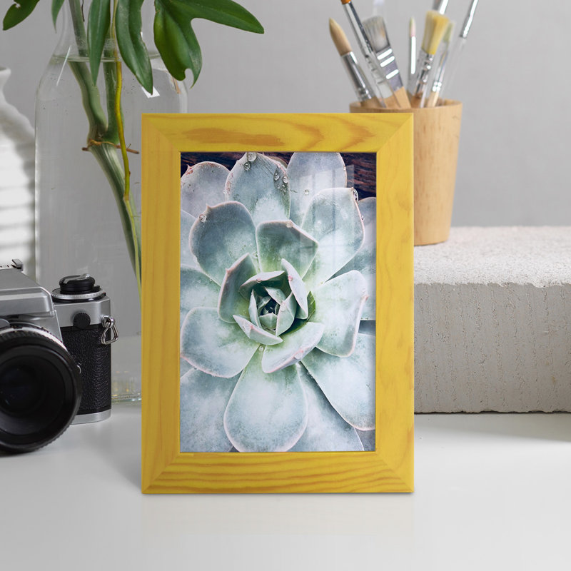 Pastel Succulent Beauty IV, reproduction d'art encadrée, H 7 po x l 5 po x P 1 po, Jaune