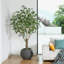 Ficus artificiel résistant aux rayons UV de 7 pi avec grand pot de fleurs gris Ailsa