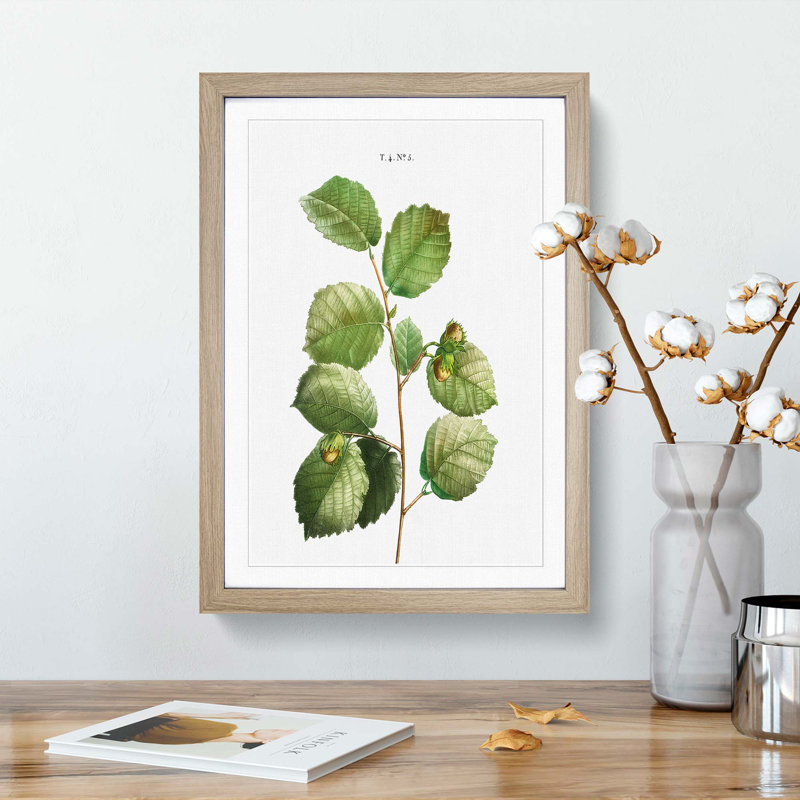 Hazelnut Tree Branch by Pierre-Joseph Redoute - Picture Frame Painting Print, Oak Framed, 65cm H x 48cm W x 2cm D