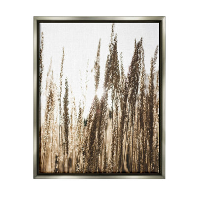 «Light Ray bien que le champ de blé» par Susan Ball - photographie sur toile