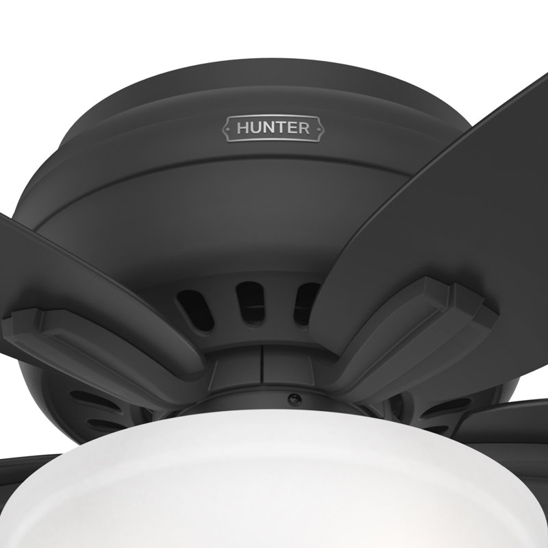 Newsome 42" 5 - Blade Traditional Flush Mount Indoor Ceiling Fan with Lights and Pull Chains, Matte Black