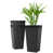 Black est en rupture de stock