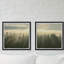 Monaco Monaco Sunlight Through Trees - 2 Piece Single Picture Frame Print-1582497804
