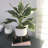 Blanding Handmade Pot Planter-2082007784