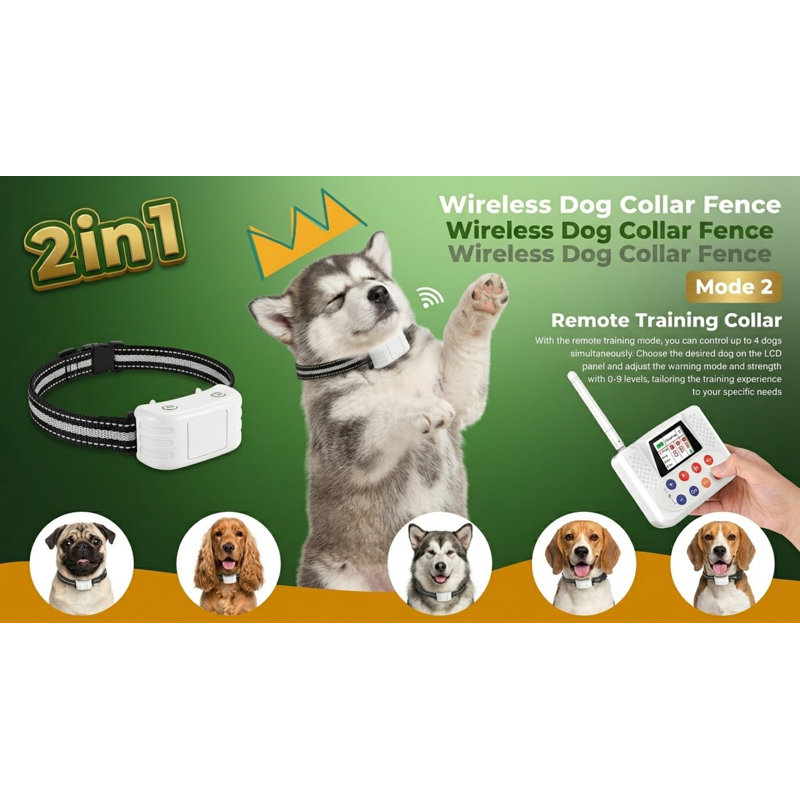 Système de bordure sans fil pour animaux supportant 2 chiens, collier de dressage inclus, panneau de commande ACL, signal stable de 2,4 Ghz, réglages réglables, convient aux petites, moyennes et grandes races