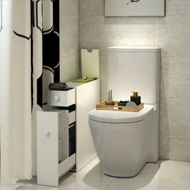 https://assets.wfcdn.com/im/97889677/resize-h380-w380%5Ecompr-r70/7968/79682246/Swaney+Freestanding+Bathroom+Cabinet.jpg
