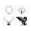 Plug-in Table Picture Light