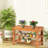 6 Pair Solid Wood Shoe Rack-1510114716