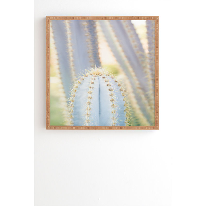 « ethereal épiphytes v », reproduction de photo, H 20 po x l 20 po x P 2 po, Armature en bambou, Pas de tapis