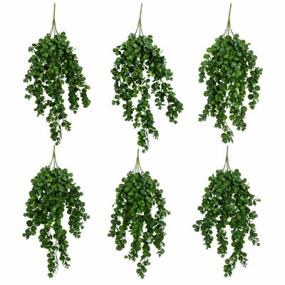 Hanging Plants X6 75cm Plant