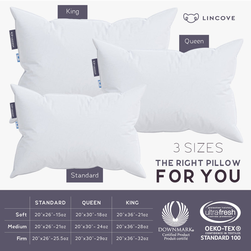 Lincove European Down Venus Pillow - German Down, 600 Fill Power - Made in Canada, 5", Standard Pillow: 20" x 26"