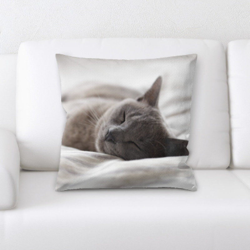 Coussin pour chat