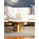 Glam Gray/Gold Area Rug
