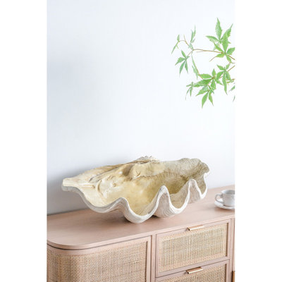 25.3x16.5x8.5" Large Clam Shell Accent