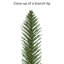 Sapin de Noël vert 7 'Gerlando