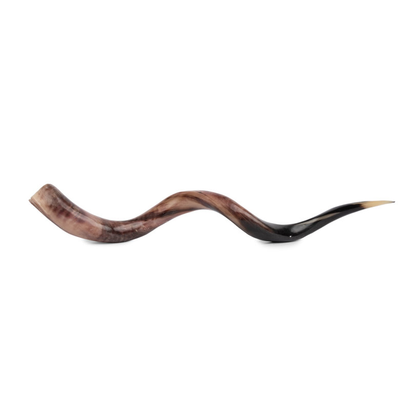 Polished Horn (Loose)