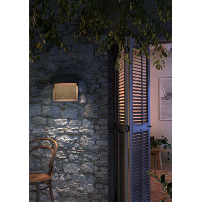 Sisal LED Wall Light