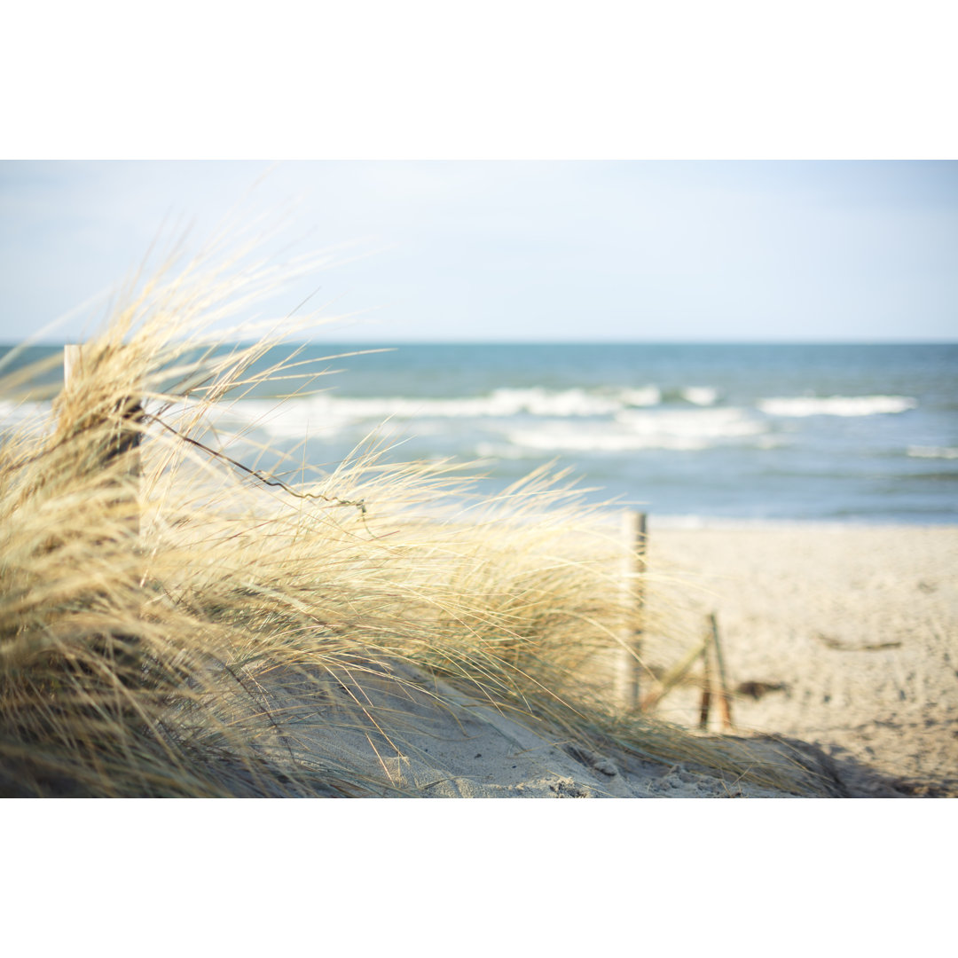 Access To Quiet Beach von Rike_ - Kunstdrucke auf Leinwand ohne Rahmen