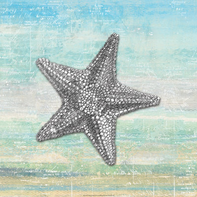 Seashell 3 - Wrapped Canvas Print