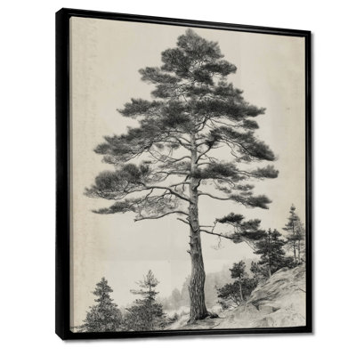 «Vintage Tall Pine Forest Tree», reproduction d'art sur toile encadrée nature noire