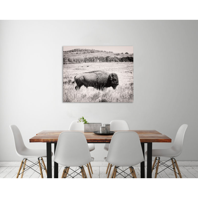 "Buffalo I BW", toile tendue par Debra Van Swearingen, H 36 po x l 45 po x P 1,5 po