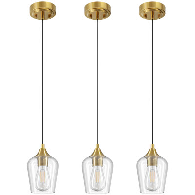 Pendant Light Fixture with Adjustable Height