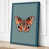 Teal Border