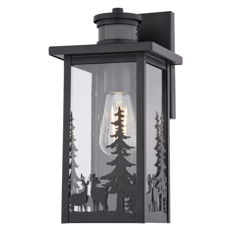 Gyanna 12.25 In. H 1-Light Matte Black Rustic Wildlife Motion Sensor Dusk To Dawn Outdoor Wall Light, Durable Steel, Clear Seeded Glass Shade, Use For Exterior Porch Patio Front Door Or Garage