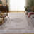 Sorrels Performance Oriental Rug-374768986
