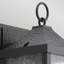 Birkmont Black 34.3cm H Outdoor Wall Lantern
