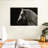 Horse With Long Mane-107670114
