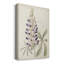 Antique Botanical Collection II - reproduction-1374588850