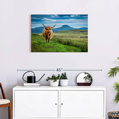 Brampt Skye Highland Cow