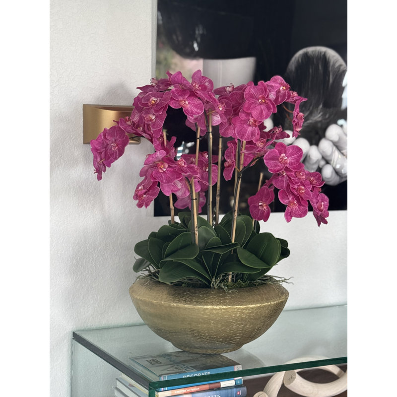Bol Blaze avec orchidées phalaenopsis, Rose