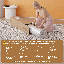 25cm Mattress Hybrid Pocket Sprung Memory Foam Skin-Friendly Individually Wrapped Coil Mattresses Medium Firm-1785309559