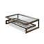 Ziggi Glass Coffee Table
