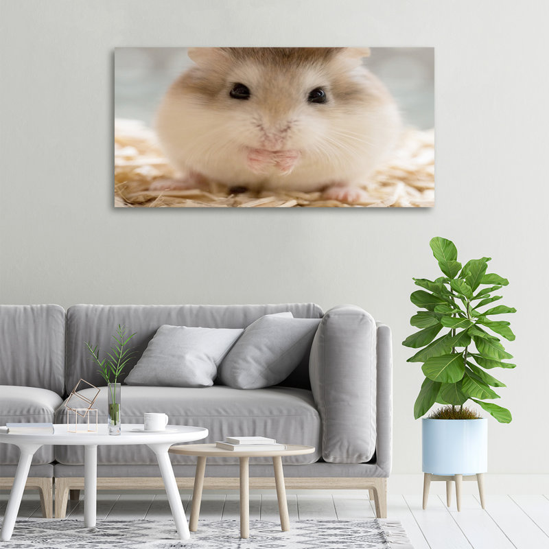 Hamster - No Frame Print on Canvas