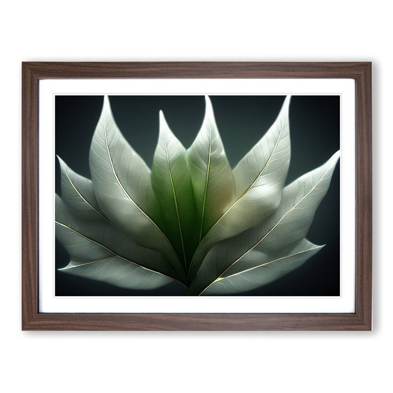 Enlightened Leaf - Single Picture Frame Print, 46cm H x 64cm W x 2cm D, Walnut Framed