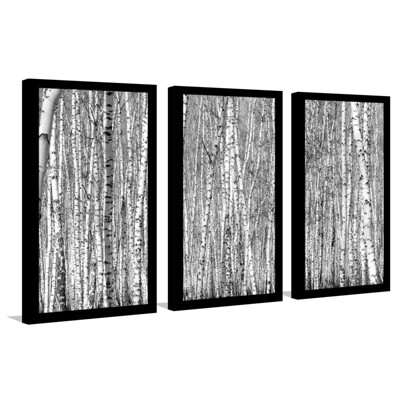 « birching environ 6 », ensemble de 3 reproductions de photos encadrées, H 33,5 po x l 52,5 po x P 1 po