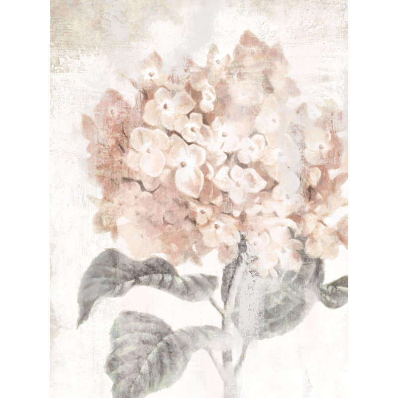 Hydrangea Blush - Painting Print, 20 cm H x 30 cm W, Black Floater Framed