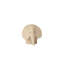 Nunu Elephant (Small)-1140663248